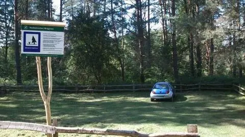 Grzyboparkingi wyrastają jak po deszczu