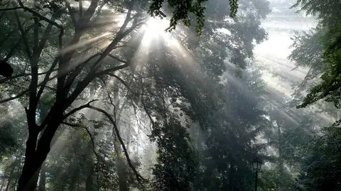 Prognoza pogody na dziś: część Polski słoneczna, część deszczowa i burzowa