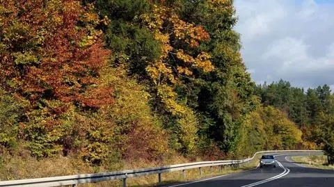 Jesień za szybą