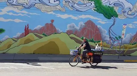 Mike i Bixby przejechali 15 tys. kilometrów. Ich rower znikł