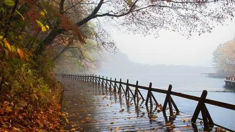 Prognoza pogody na dziś: przelotnie popada, w centrum się rozpogodzi