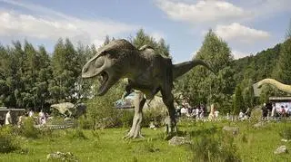 Park Jurajski w Bałtowie