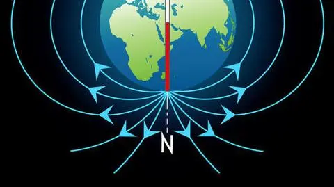 W paleolicie kompas wskazywałby południe