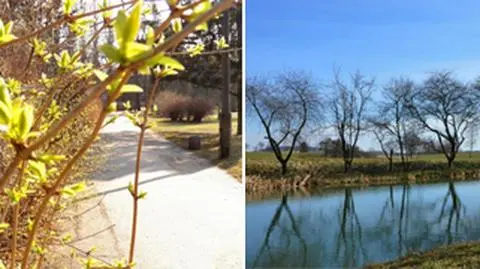 Wiosna zachęca do spacerów