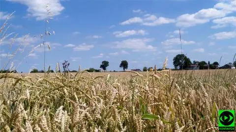 Czeka nas upalny dzień