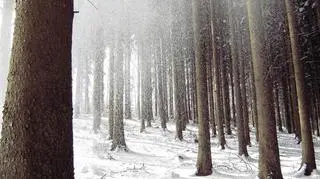 Śnieg spadnie tam, gdzie będzie najzimniej