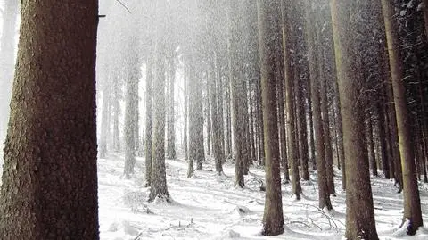 Śnieg tuż-tuż. Najpierw z deszczem