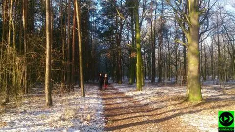 Zapowiada się pogodny dzień