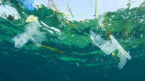 Plastik to ogromny problemem dla morskich ekosystemów