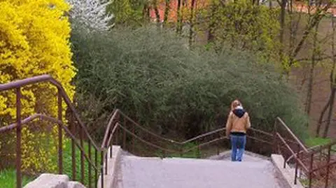 Pochmurno na wschodzie i południu, po południu rozpogodzenia