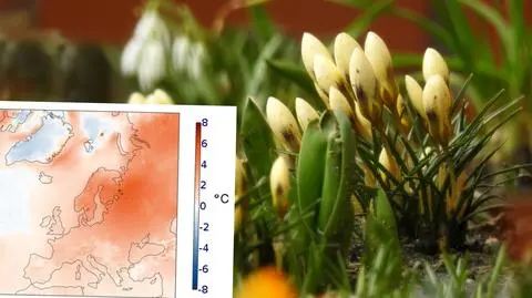 Naukowcy podali dane dotyczące zimy meteorologicznej