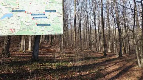 Obowiązuje zakaz wstępu na teren kilku nadleśnictw