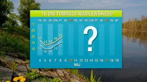 Wasilewskiego pogoda na 16 dni