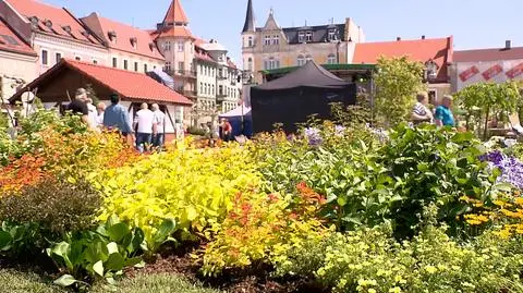 Piękno ogrodów i gratka dla nurków. "To jest największy magnes"