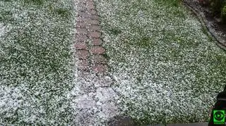 Zakopiański "popcorn z nieba"