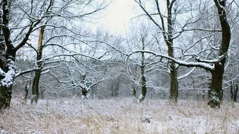 Na południowym wschodzie spadnie śnieg