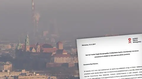 "Mało na ponad 10 miesięcy". Polski Alarm Smogowy krytycznie o pracach rządu