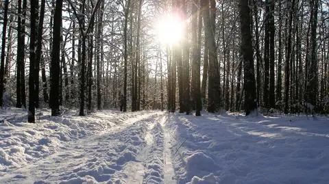 W dzień sporo słońca