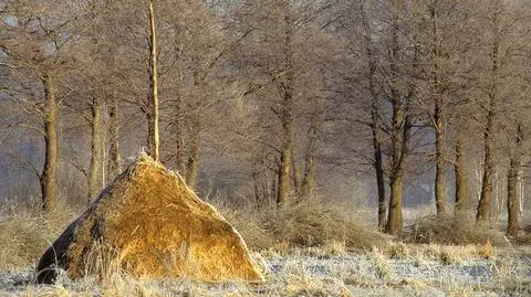 Będzie łonecznie i zimno