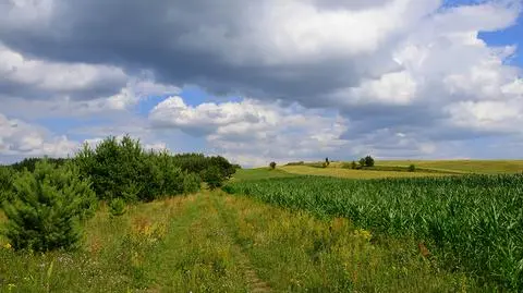 Upalny wtorek