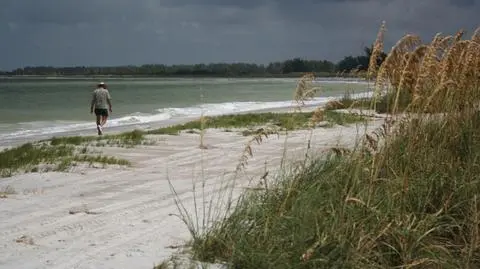 Prognoza pogody na dziś: upał z dodatkiem burz