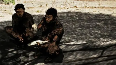 Zmiany klimatu katalizatorem ewolucji człowieka