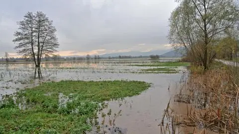 Fala także na Odrze. Stany alarmowe już są przekroczone