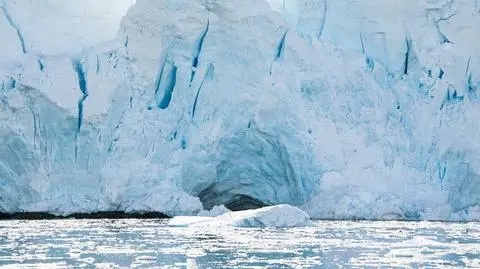 Kwaśne wody wykańczają antarktyczne mięczaki