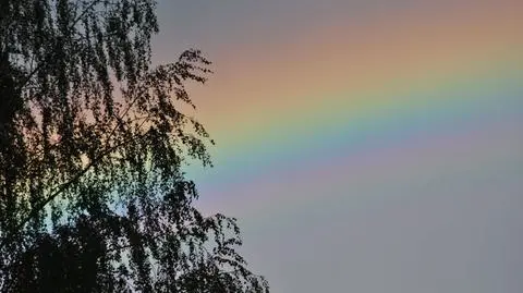 tęcza