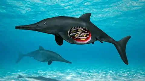 Paleontolodzy odkryli szczątki ciężarnej samicy ichtiozaura