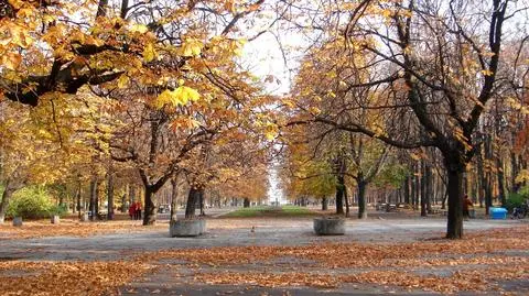 Prognoza pogody na dziś: w wielu miejscach się rozpogodzi, ale nadal będzie chłodno