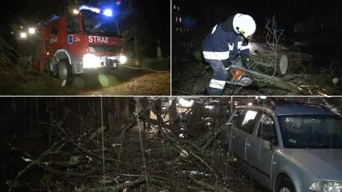 Silny wiatr powalił drzewa, zniszczył domy mieszkańców