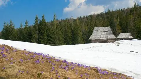 Czwartkowa pogoda w górach będzie wiosenna i jak to mówią - marcowa