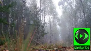 Mgły, deszcz i rykowisko jeleni
