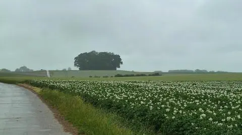 W centrum i na północy przelotnie popada