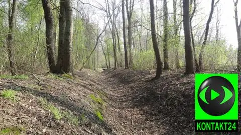 Gleba i lasy stają się coraz suchsze