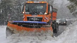 Niemcy walczą ze śniegiem