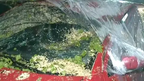 Zniszczenia na Podkarpaciu - burza powaliła drzewo na samochody. W wielu miejscach spadł grad