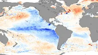 Odchylenie od średniej temperatury Pacyfiku w listopadzie 2007 roku (zjawisko La Nina)