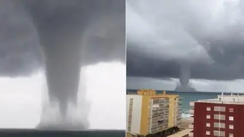 Trąba gigant tuż obok Walencji 