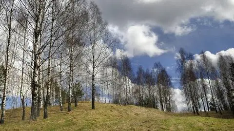 Będzie na ogół pogodnie