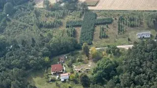 Piktogram w Nadleśnictwie Gostynin 