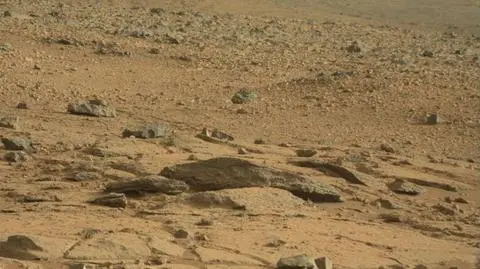 Znajdziecie szczura na tym zdjęciu? (NASA)