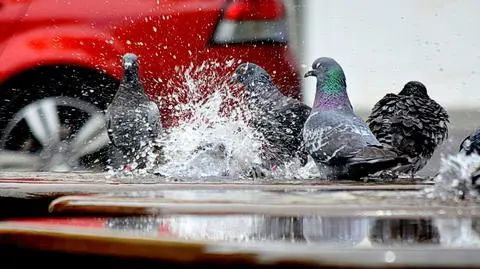 Jazdę utrudnią lokalne burze i deszcz