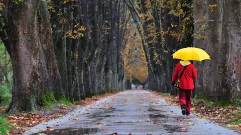 Przez kraj przejdzie strefa opadów