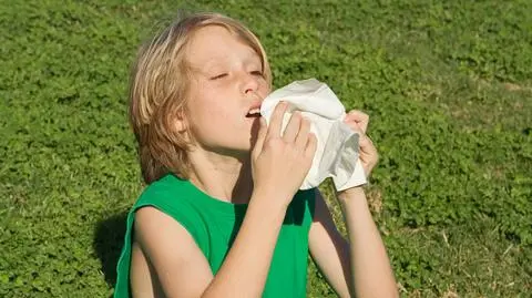 Trawy zaczynają mocniej pylić