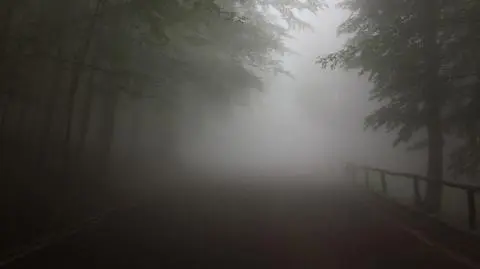 Mogą pojawić się mgły