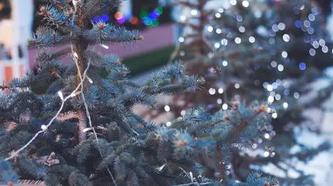 Miejscami możliwy jest śnieg