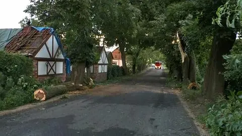 "To normalne zjawiska. Jeszcze nieraz przyjdzie nam o nich mówić tego lata"