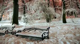 Nie wszędzie pojawiły się prognozowane opady